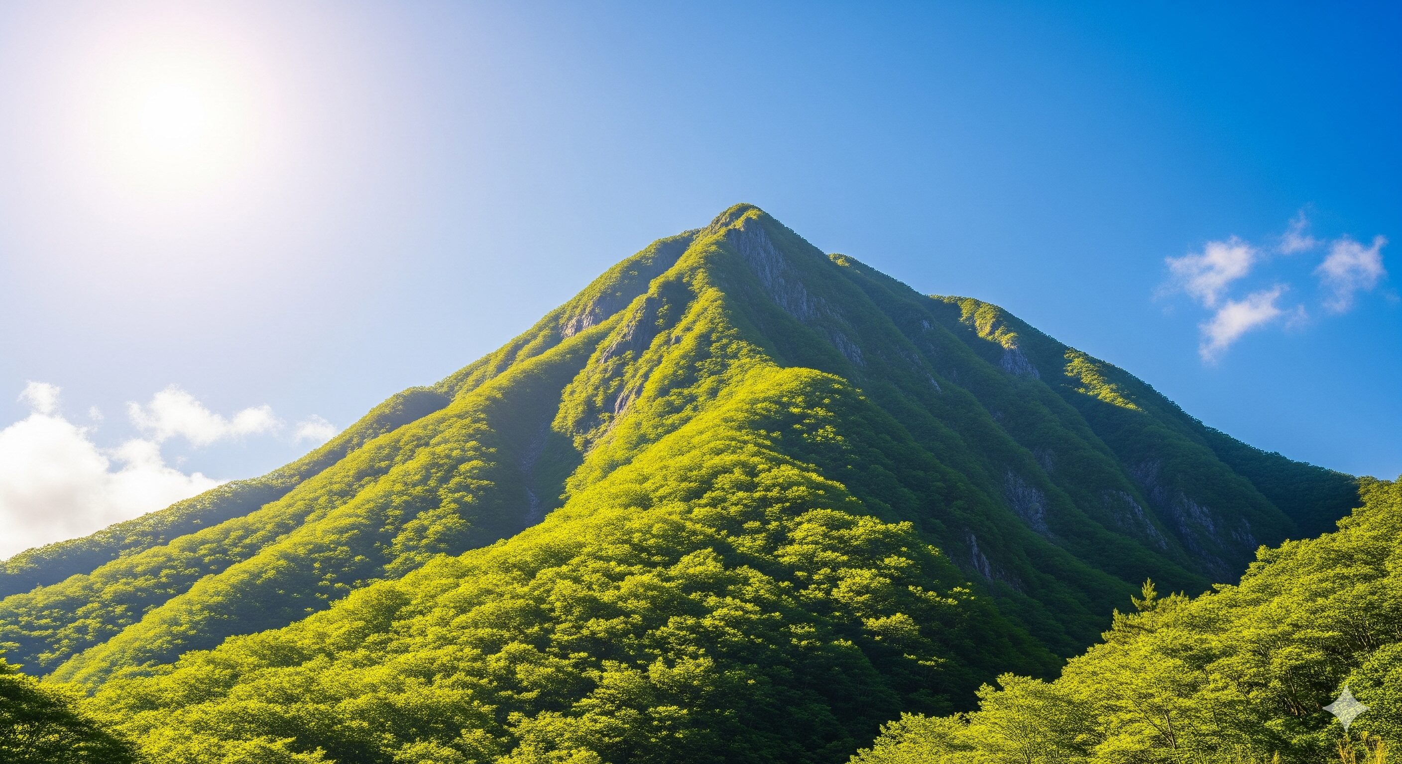 戊午の強運とは？基本的な意味と読み方を解説